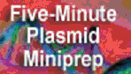 GenElute Five-Minute Plasmid Miniprep Kit