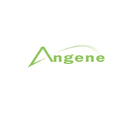 Angene Chemical